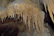 jenolan-caves-picture;janolan-caves;cave-decorations;blue-mountains-national-park;cave;blue-mountain